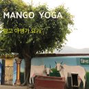 새벽요가(월,금) 이미지