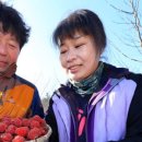 지리산꾸지뽕농장 이미지