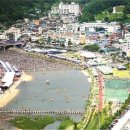 송이축제 문화유적탐방버스 이미지