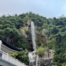 인생을담다돈까스알통떡볶이 | 진남휴게소에서 가성비 맛집 찍고 레트로 감성 인생샷까지! 오미자터널/진남교반/고모산성 한 번에 즐겨요