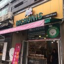 비숑이즈 이미지