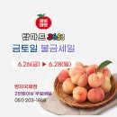 메고지고떡창고명지국제