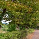 길사이언스 이미지