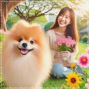 몽냥몽냥 강아지분양 일산점 이미지