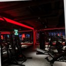 와이투짐 야탑역점 | 분당 헬스장의 지존이라 불리는 와이투짐 야탑역점 이용 후기 확인!