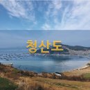 성포라성약국 이미지