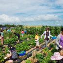 손씨농장 이미지