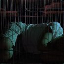 유애경 카카오 검색결과