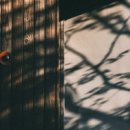 수안보온천힐링호텔 이미지