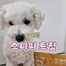구르미간식 | 아모망 강아지 노즈워크 간식 급여 후기 [스니피 트릿]
