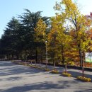 춘하추동한의원 이미지