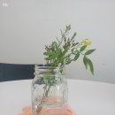 백제당약국 이미지