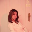 다미 이미지