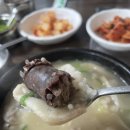 김가네가마솥순대국 | [춘천 맛집] 김가네가마솥순대국 – 진한 국물과 푸짐한 순대가 일품인 순대국 솔직 후기!