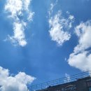 기찬푸드 | [공주여행]냉온 메밀요리, 기찬 메밀국수