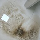 해강 | 해강누수설비 의뢰 후기｜상가지하 배수펌프 누수 정리 과정