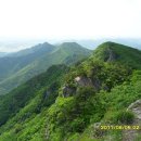 금록식육식당 이미지