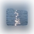 이어리 스튜디오 | 🍁카우룽카우룽2🍄‍🟫