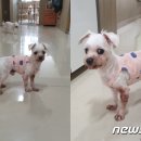 마이코너주식회사 이미지