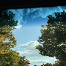 인천향교.인천도호부청사(37125) | 인천 단풍 명소 카페 투썸플레이스 문학점 지금이 절정