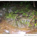 덕거별서 이미지