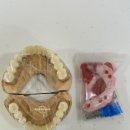 이편한치과기공소 이미지