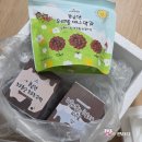 여수 235 | [여수언니 디저트] 봄날에 초코퐁당 시리즈 및 미니약과 내 돈 내산 솔직후기!(초코퐁당 순위 및 택배...