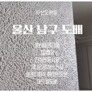 경남개나리벽지