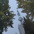 모치과기공소 이미지