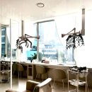 디엠에코서비스(주) | 삼성역미용실 에코쟈뎅 삼성점 염색 by 다인 디자이너 (+혼주메이크업,헤어스타일링)