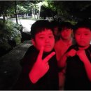 용인대 참사랑 태권도 네이버블로그