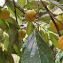 궁리 마을회관 이미지