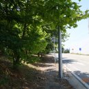 함라초등학교 이미지