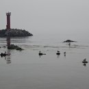 동해축산 이미지