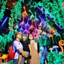 반딧불안경 이미지