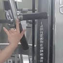 게으르게 이미지