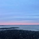 플라이무드 이미지