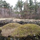 애월다래네 이미지