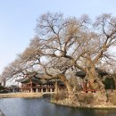 꽃들추어탕 | 남원 효도여행_남원스위트호텔 디럭스트리플, 광한루원 &amp; 새집추어탕
