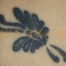 나비피부과의원 이미지