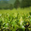 활천경희한의원 이미지