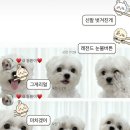드림아이 | 드림아이 난임병원 초진 후기｜3일 연휴 후 월요일 오전 웨이팅