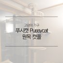 푸시캣 이미지