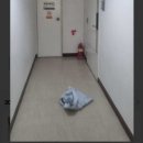 정연채내과 앞 노상 | 1월 일상띠