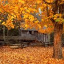 최재명 / 희망가 이미지