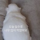 육회왕김연어 이미지