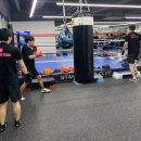 유타복싱클럽 이미지