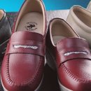 폴로클럽 이미지