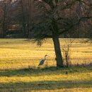 한이마트 이미지