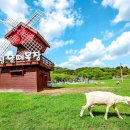 성인목장 이미지